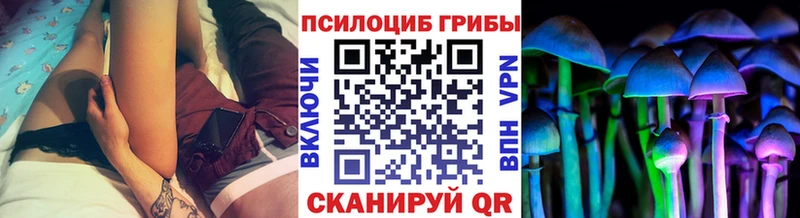 Галлюциногенные грибы мицелий  Купить закладки  Валуйки 